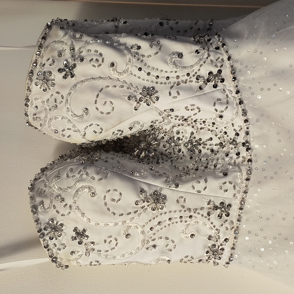 Wedding Dress - Picture 4 of 12